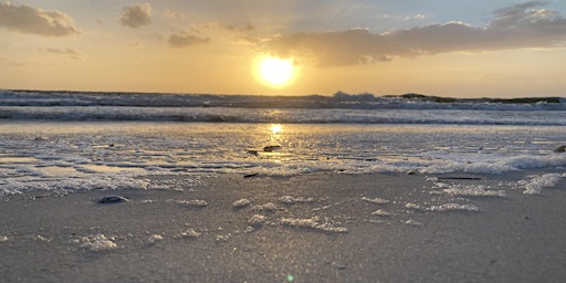 Primaire afbeelding van Beach Cleanup