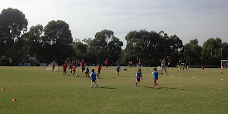 Eastern Lions School Holiday Soccer Coaching Clinics primary image