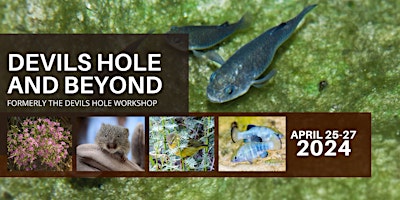 Devils Hole and Beyond (Formerly the Devils Hole Workshop) primary image