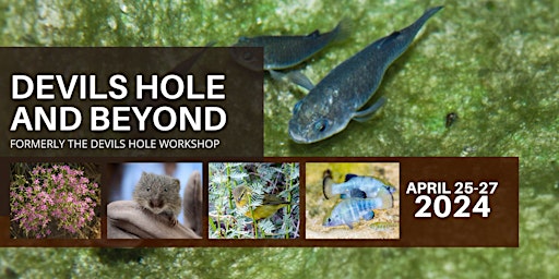 Imagem principal do evento Devils Hole and Beyond (Formerly the Devils Hole Workshop)