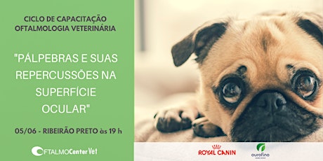 Imagem principal do evento Ciclo de Capacitação Oftalmologia Veterinária - Ribeirão Preto