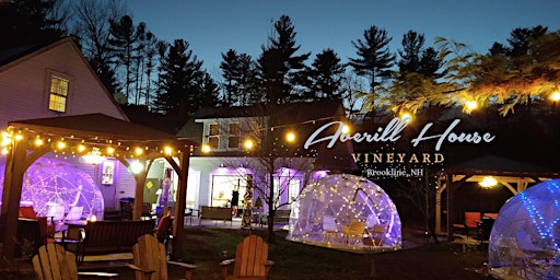 Immagine principale di Vine to Wine Igloo & Gazebo Experience & Wine Pairing, Brookline, NH 