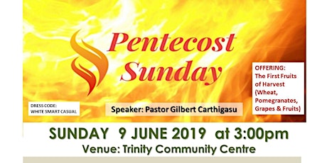 Pentecost Sunday Celebration 2019 primary image