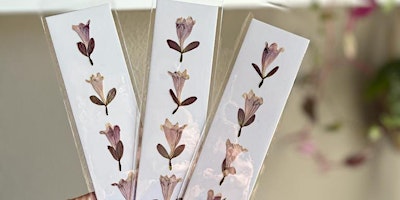 Botanical Crafts Workshop: Create Pressed Flower Greeting Cards primary image