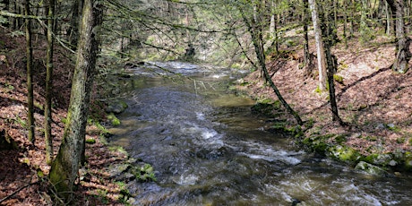 2023 Dutchess County Watershed Roundtable primary image