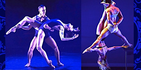 Imagen principal de Luminario Ballet "Choose Your Identity"