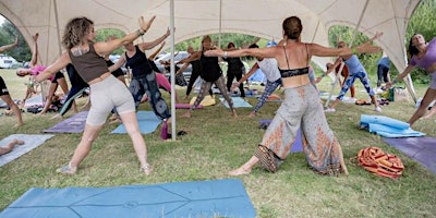 Yoga Wild Woman primary image