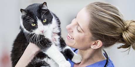 RSPCA Victoria - Whittlesea, Darebin and Moreland City Council Low-Cost Cat Desexing Clinic $25 - $50 primary image