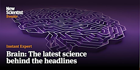 Imagen principal de Instant Expert: Brain: The latest science behind the headlines