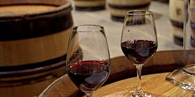Hauptbild für Die Weine der Rhone & Languedoc