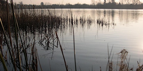 Blashford Lakes Young Naturalists