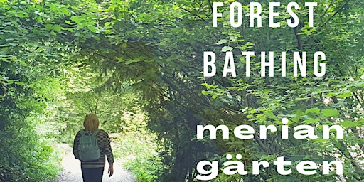 Forest Bathing Walk  - Auszeit in Merian Gärten Basel primary image