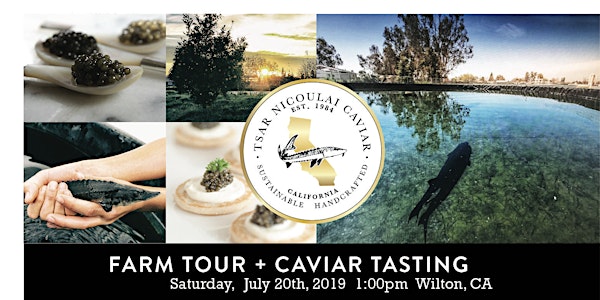 Caviar Week - Tsar Nicoulai Caviar Farm Tour (and Tasting)