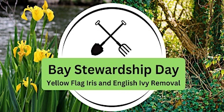 Bay Stewardship Day: Yellow Flag Iris / Ivy Removal primary image