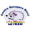 Centro Recupero Ricci La Ninna OdV's Logo