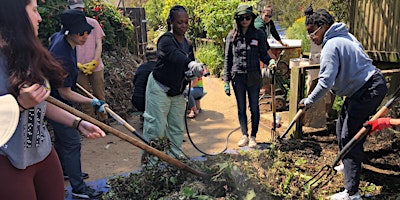 Primaire afbeelding van FREE Urban Composting Workshops 2024