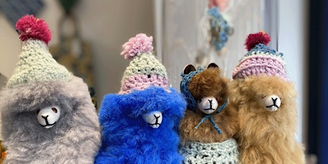 Image principale de Atelier de Crochet pour les Enfants: Bonnets pour Alpagas