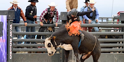 Immagine principale di Rice Bull Riding - Bulls & Barrels 2024 