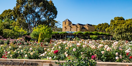 Behind the Scenes Tour at Centennial Park