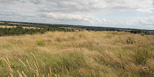 Grasses 1 - A beginner's introduction with Brian Eversham primary image