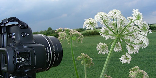 Introduction to Macro Photography with Dave Jackson primary image