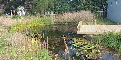 Pond Dipping at  Winton Recreation Ground