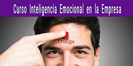 Imagen principal de Curso Inteligencia Emocional En La Empresa