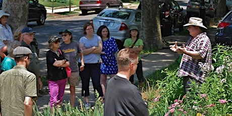 Pollinator Safari: Urban Insect Gardening with Native Plants primary image