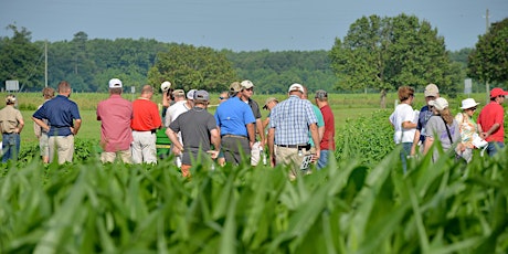 Randolph County Corn Variety Trial and Strip-Till Field Day