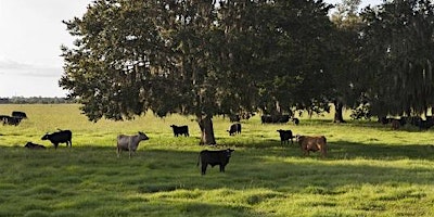 Hauptbild für Ranching Foundations