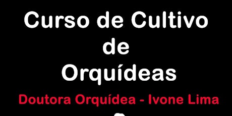 Imagem principal do evento Curso Cultivo de Orquídea com Ivone Lima - Doutora Orquídea