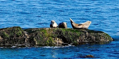 Imagen principal de Montauk Point Seal Hikes