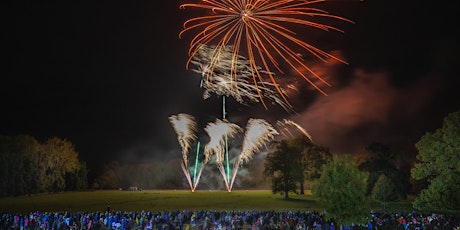 Downham Market Fireworks 2024 - Fireworks Festival
