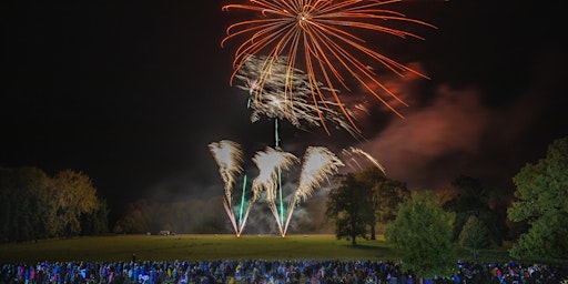 Image principale de Downham Market Fireworks 2024 - Fireworks Festival