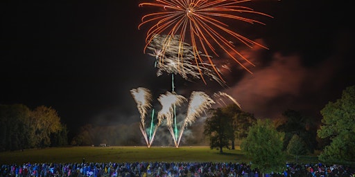 Downham Market Fireworks 2024 - Fireworks Festival primary image