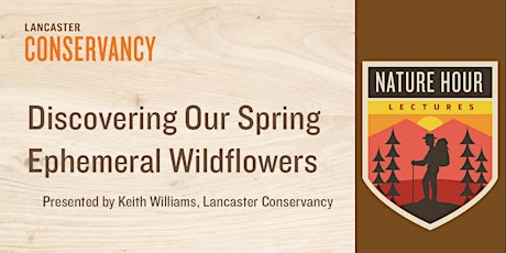 Nature Hour: Discovering Our Spring Ephemeral Wildflowers primary image