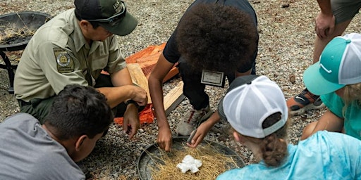 Hauptbild für Survival Skills