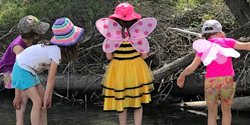 Imagem principal do evento Summer Magic Kids Fairy Nature Camp (Canmore, Canadian Rockies)