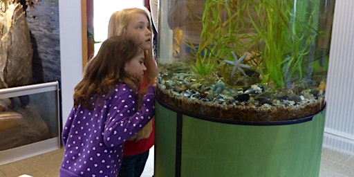 Primaire afbeelding van Aquarium Tour and Fish Feeding