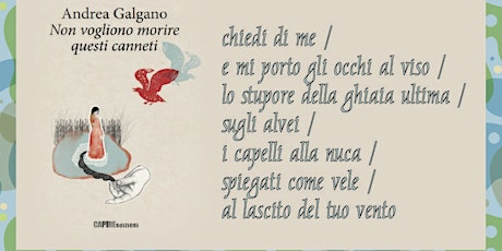 Immagine principale di Reading poetico "il nostos" NON VOGLIONO MORIRE QUESTI CANNETI di Andrea Galgano 