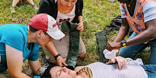 Hauptbild für Taos Wilderness Herbal First Aid Certification - Spring 2024