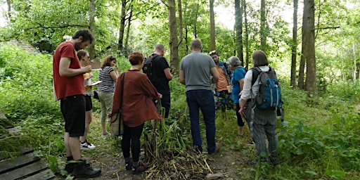FREE Foraging Experience - 16/06/2024 primary image