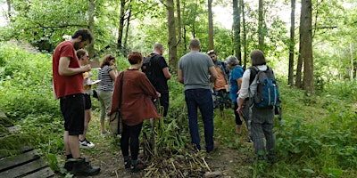 Hauptbild für FREE Foraging Experience - 16/06/2024