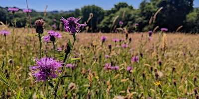 Immagine principale di Meadow Management: Learn to Scythe 