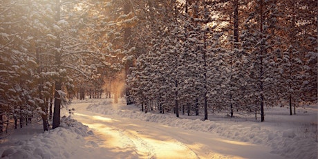 Imagen principal de Winter Nature Connection series