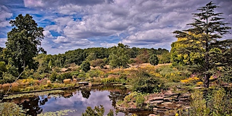 Composition in the Field - Photography Workshop