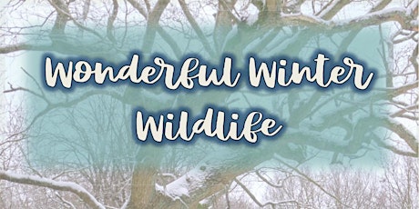 Wonderful Winter Wildlife trail - Kenley Common primary image