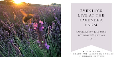Hauptbild für Evenings at the Warwickshire Lavender Farm (20th July 2024)
