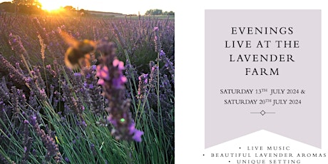 Evenings at the Warwickshire Lavender Farm (20th July 2024)