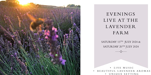 Primaire afbeelding van Evenings at the Warwickshire Lavender Farm (13th July 2024)